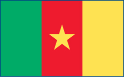 Cameroon flag