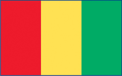 Guinea flag