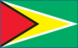 Guyana flag