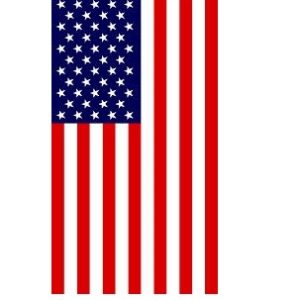 U.S. Flag Vertical