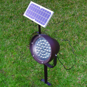 Presidential Solar Light